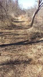 PRR Newtown Square Branch